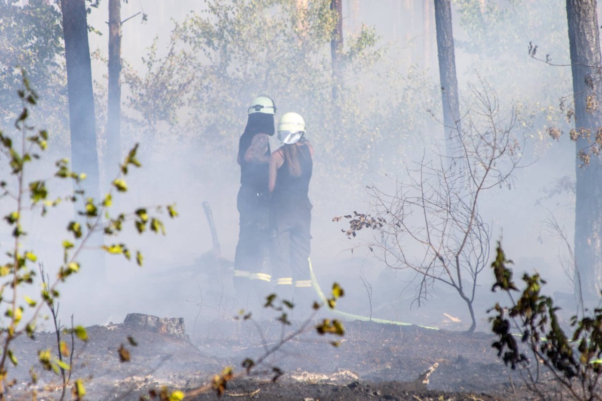 Gifhorn-flächenbrand.jpg