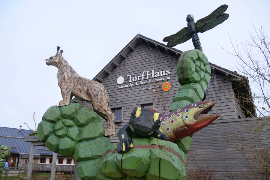 Torfhaus im Harz ist ein beliebter Urlaubsspot. Doch wenn noch mehr Besucher sich den Ortsteil als Reiseziel aussuchen, könnte es bald ein Problem geben. 