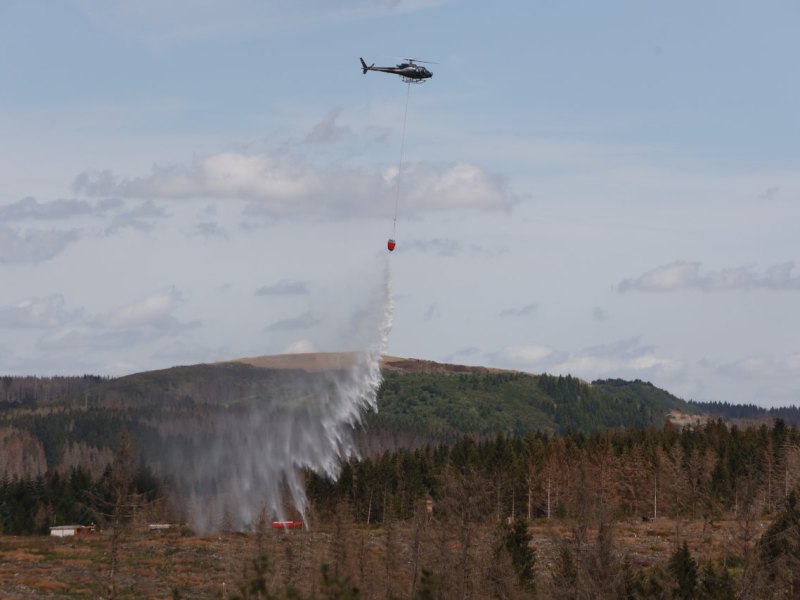 Harz Waldbrand