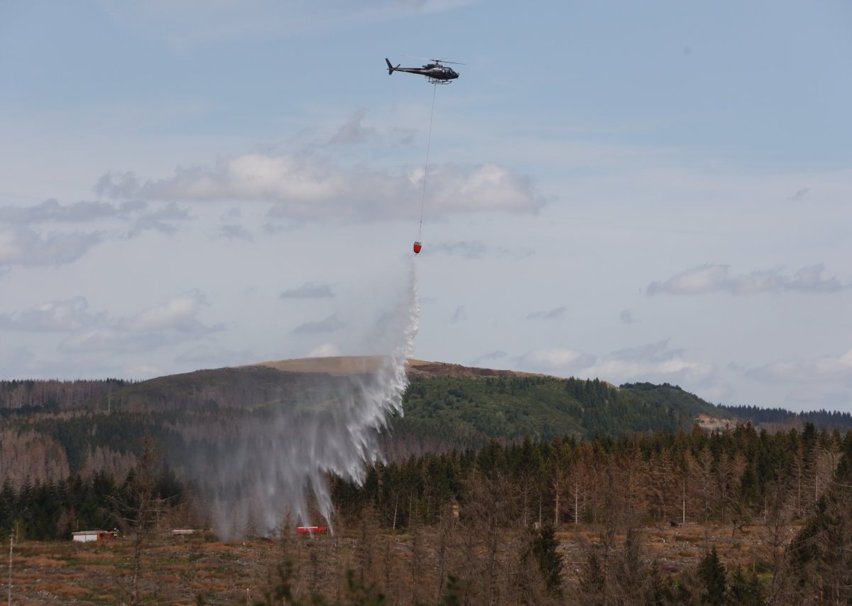 Harz Waldbrand
