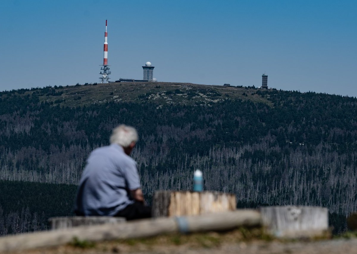 Harz Wurmberg.jpg