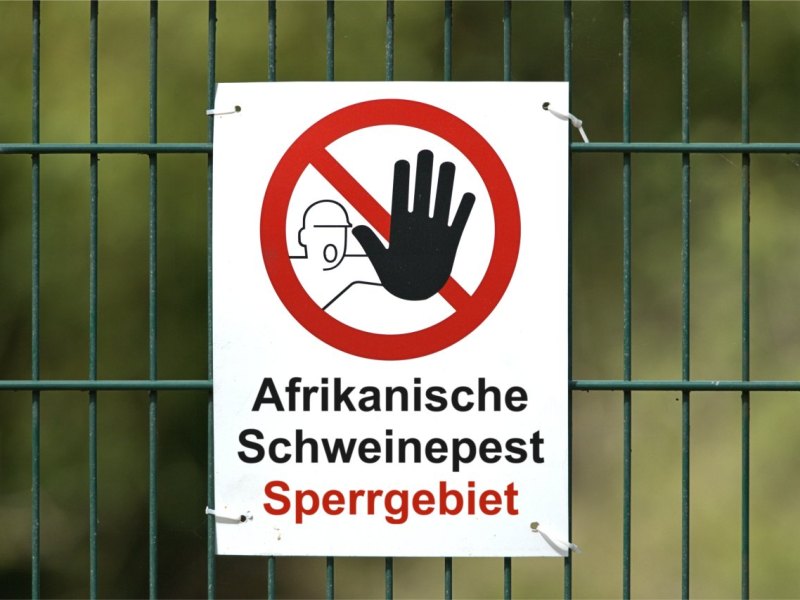 Kreis Gifhorn Tierseuche