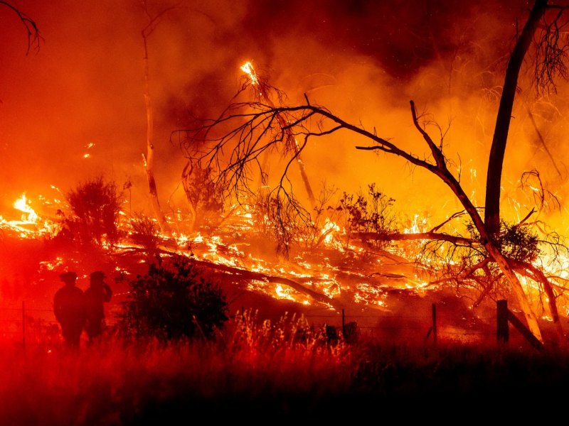 harz feuer brand.jpg