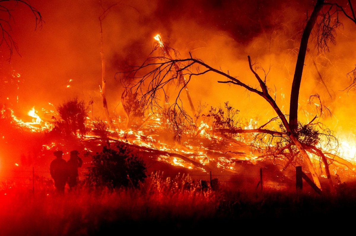 harz feuer brand.jpg