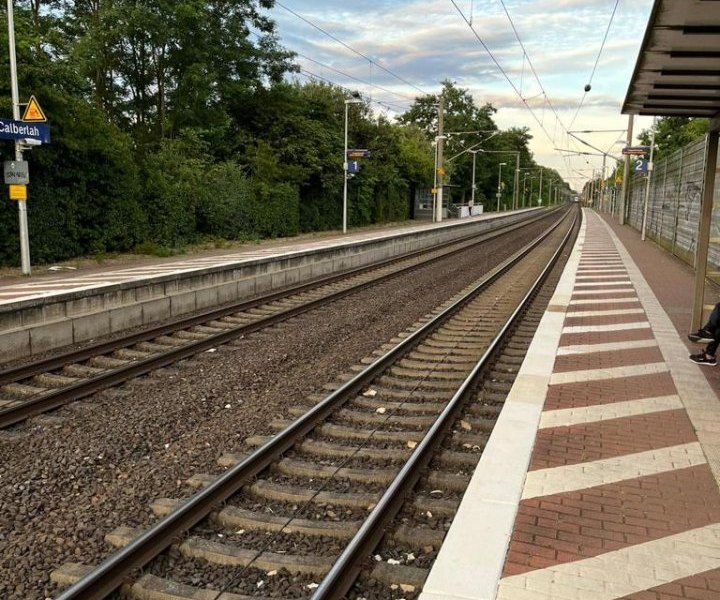 kreis gifhorn bahnhof calberlah.jpg