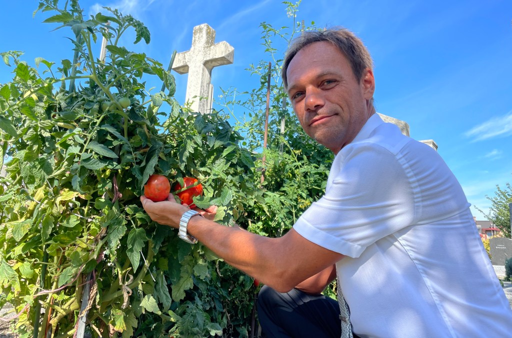 Urban Gardening auf Friedhof in Wien