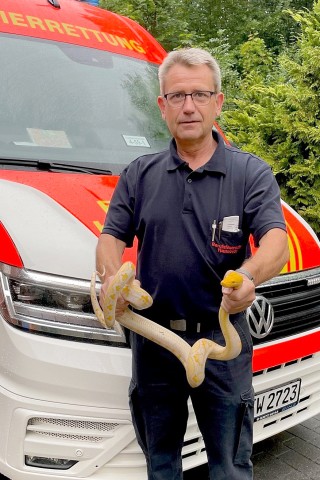 Eine Hannoveranerin hatte die gelbgemusterte Schlange auf ihrem Balkon entdeckt. 