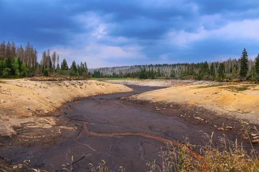 Der Oderteich im Harz: 2018 war hier sogar gar kein Wasser mehr vorhanden. 