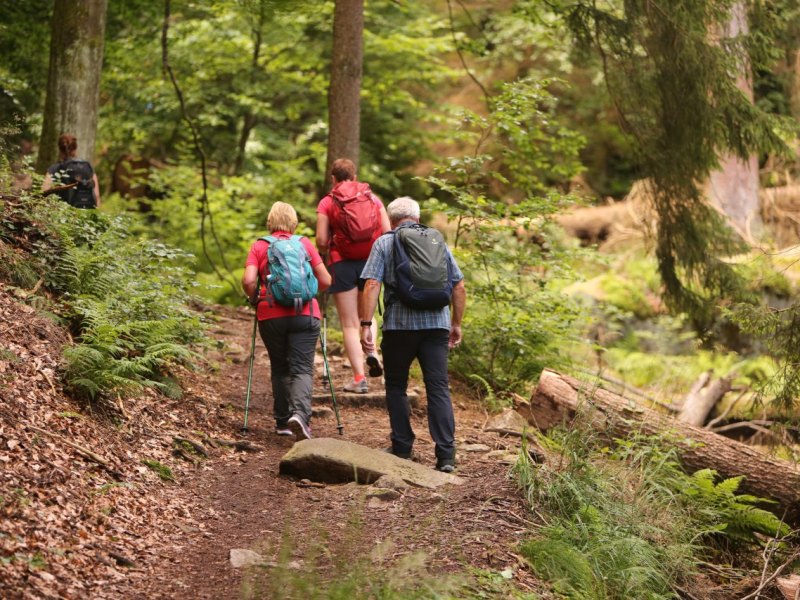 Harz Wanderung