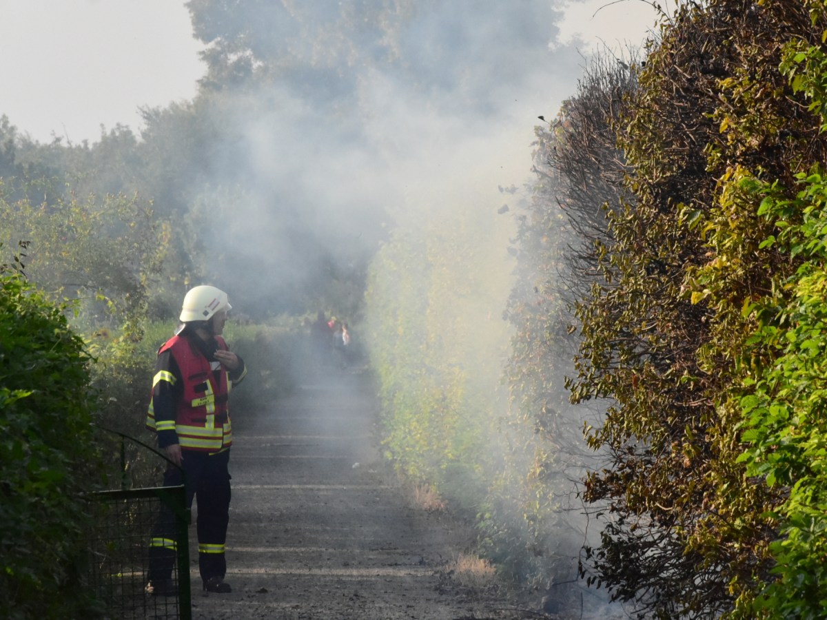 Wolfenbüttel die Hecke brennt