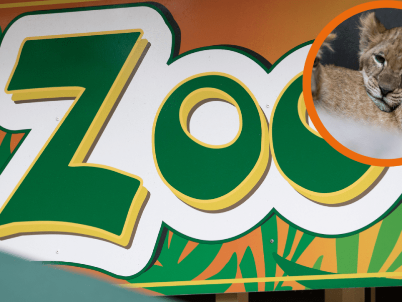 Zoo Braunschweig .png