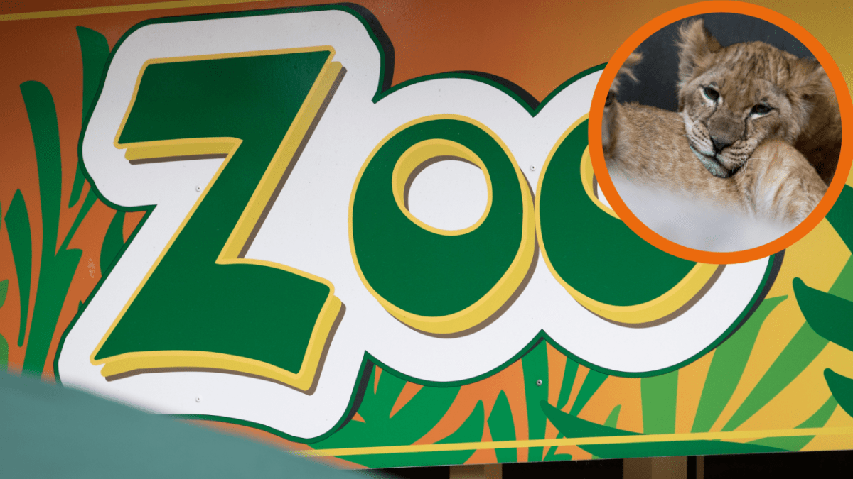 Zoo Braunschweig .png