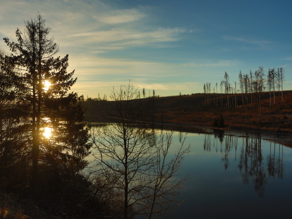 Harz