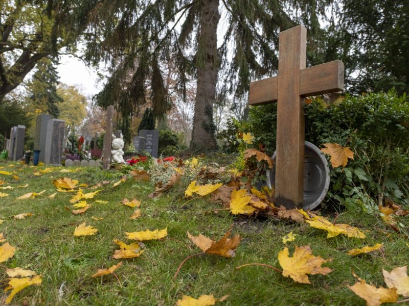 Gräber auf Friedhof Gräber auf dem Hauptfriedhof Braunschweig