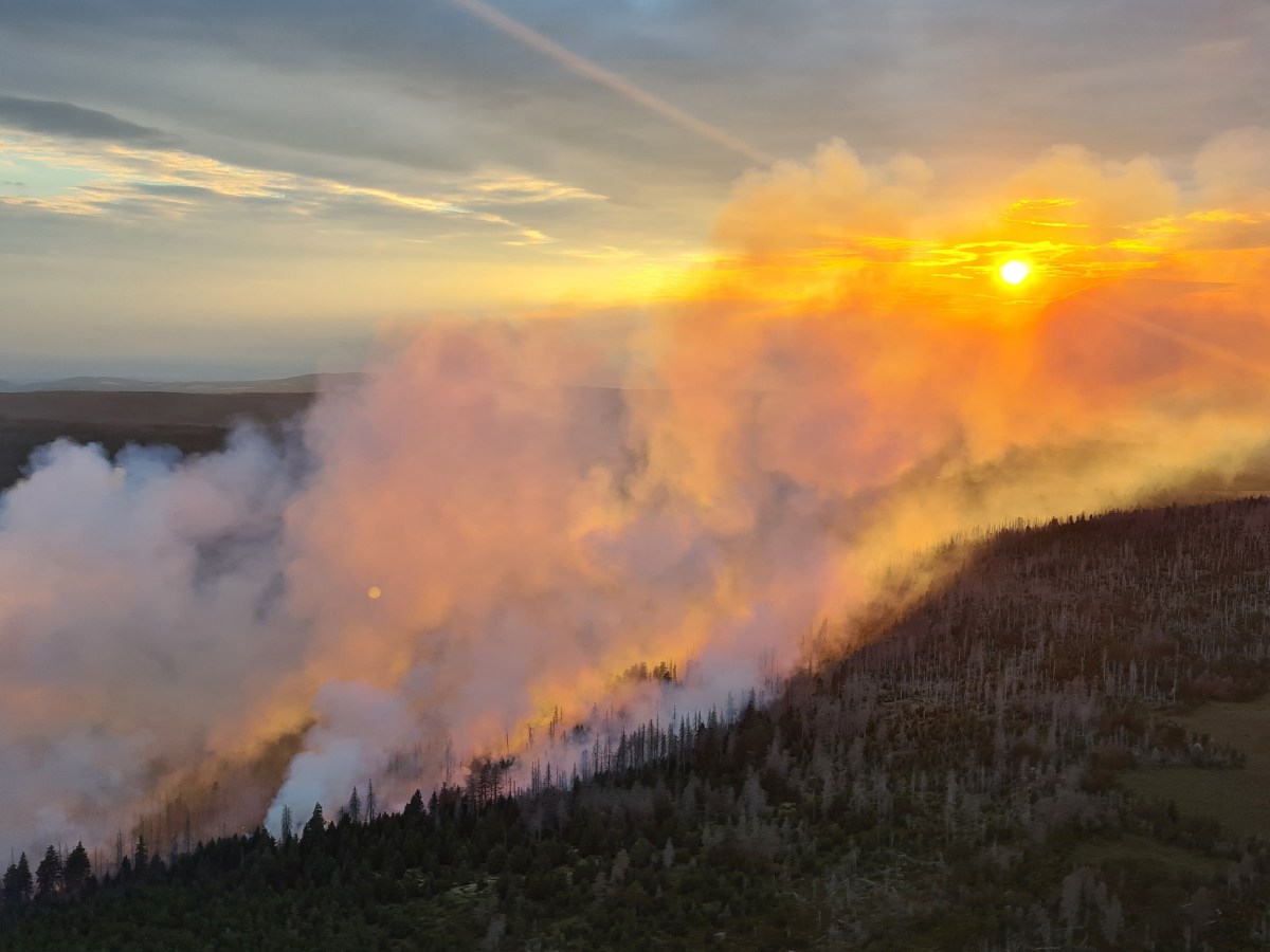 harz brocken brand