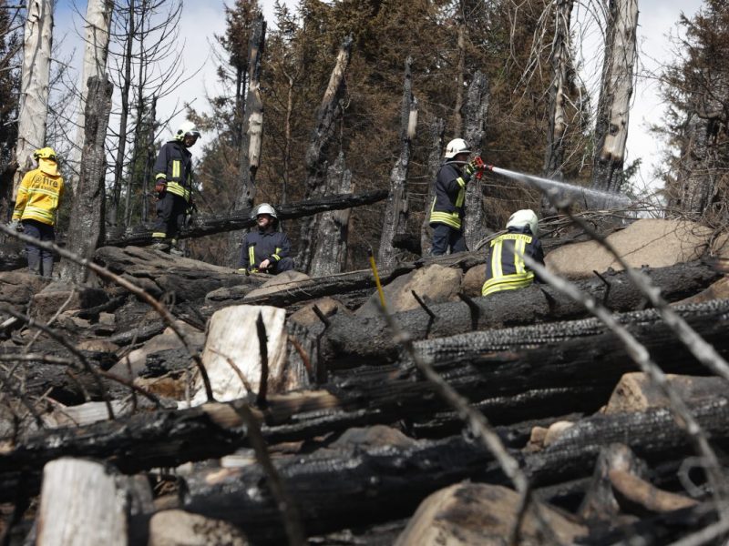 Brocken-Brand im Harz