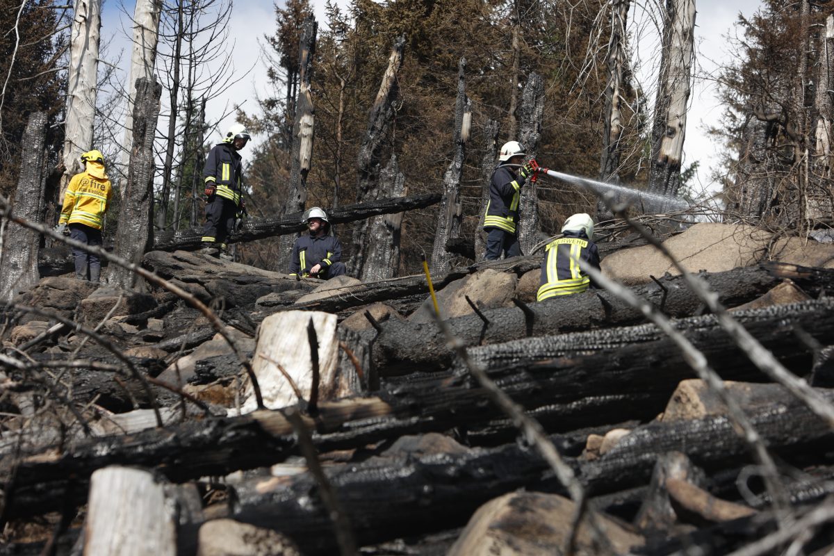 Brocken-Brand im Harz