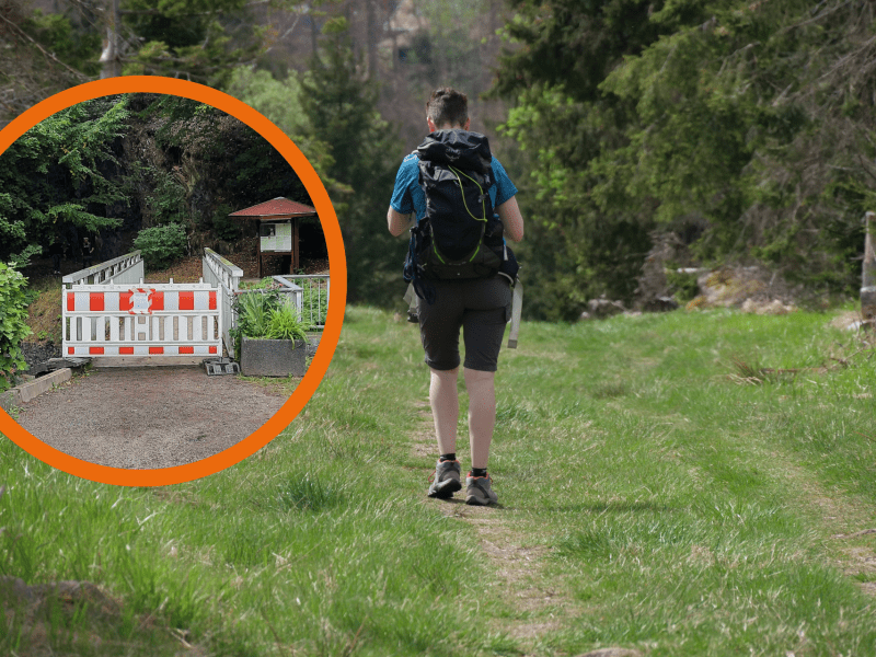Harz Wanderer