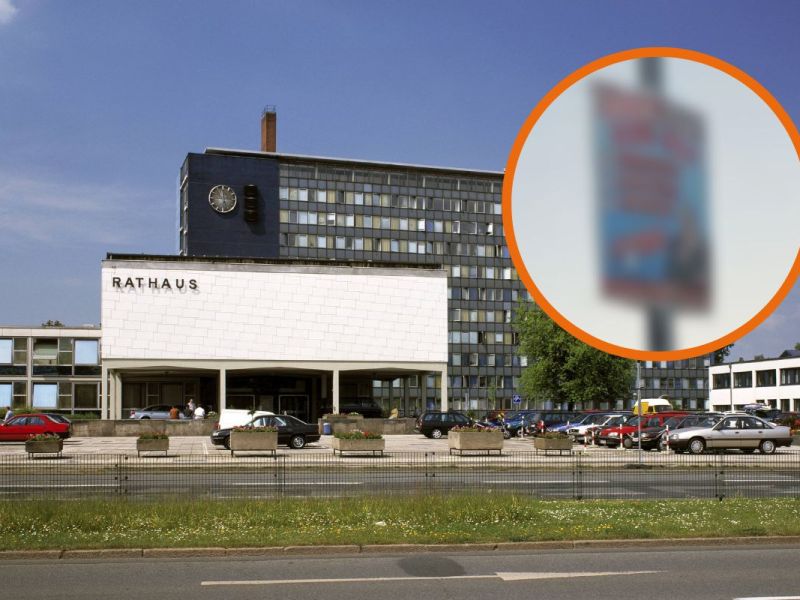 Salzgitter AfD