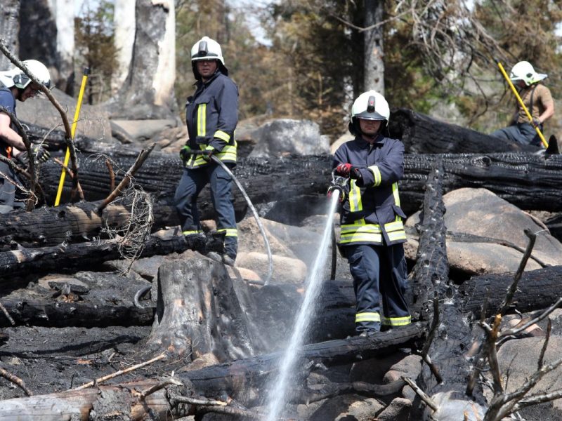 brand brocken harz