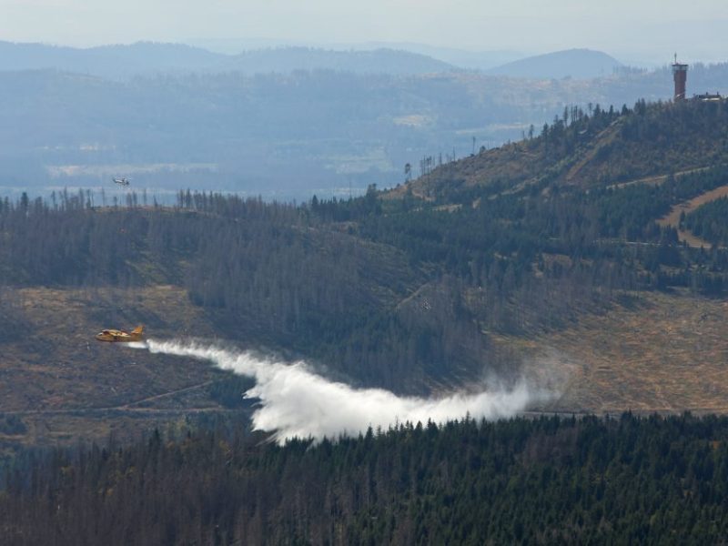 Harz