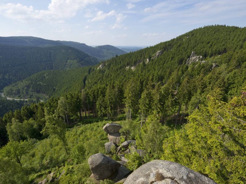 Harz