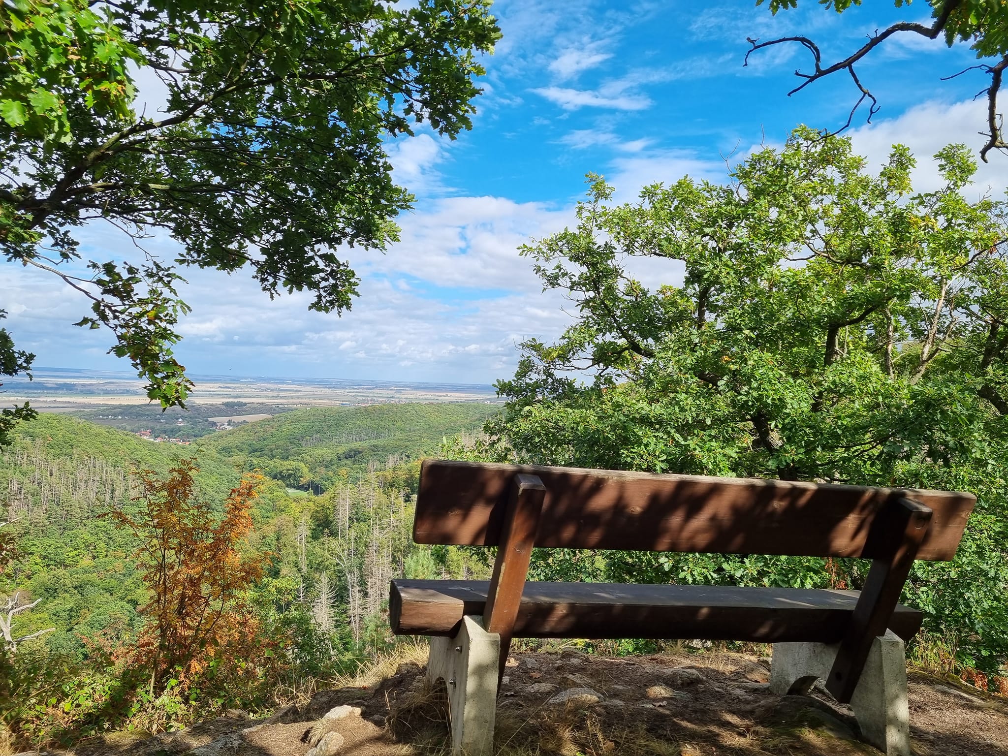 Mit diesem und anderen Fotos will Bianca zeigen, dass es durchaus noch viele schöne und grüne Ecken im Harz gibt.