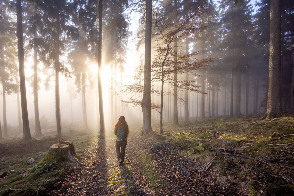 Das Wochenende in Niedersachsen ist fast sommerlich warm – doch dann meldet sich der Herbst zurück! (Symbolbild)