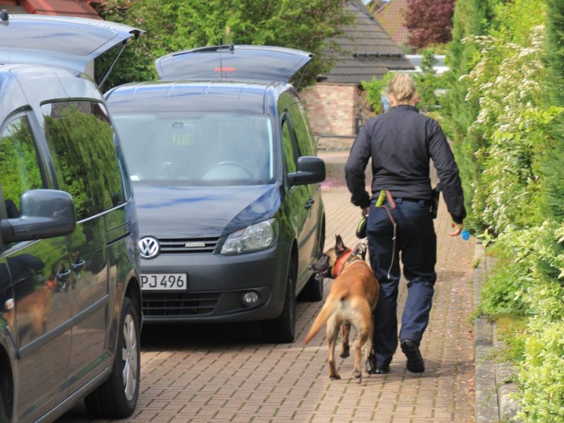 Polizeihunde Braunschweig
