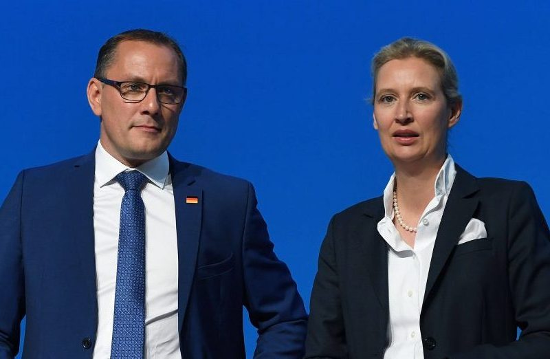 AfD Sazlgitter