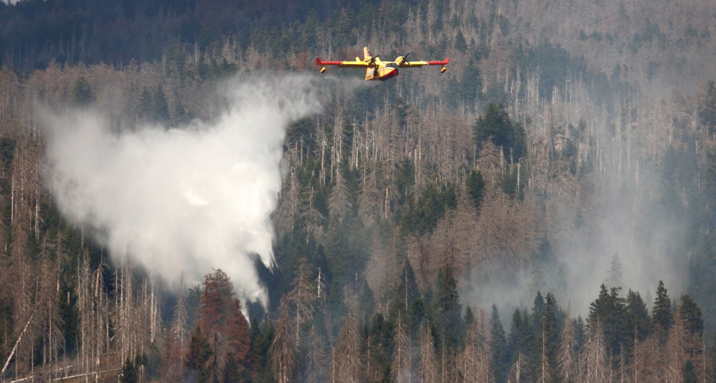 Harz Brocken Feuer