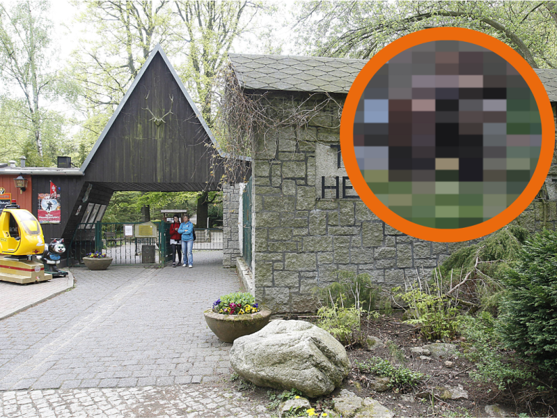 Harz Tierpark