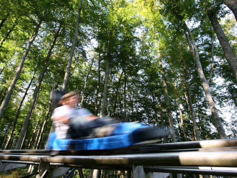 Harz Sommerrodelbahn