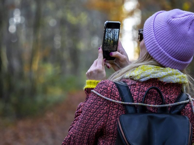 Eine Frau macht sich auf den Weg, um ein verschwundenes Dorf im Harz zu entdecken. Sie findet dessen Spuren – und ist sehr bewegt von dem Anblick...