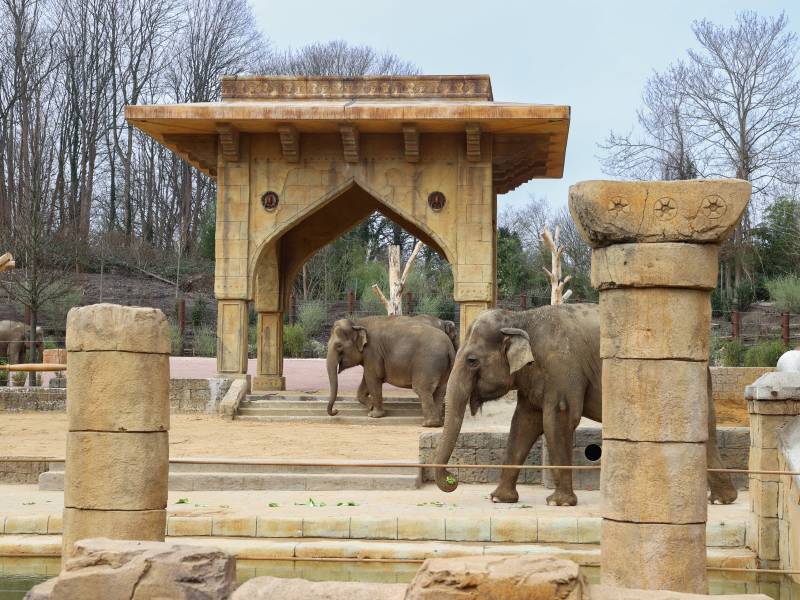 Zoo Hannover