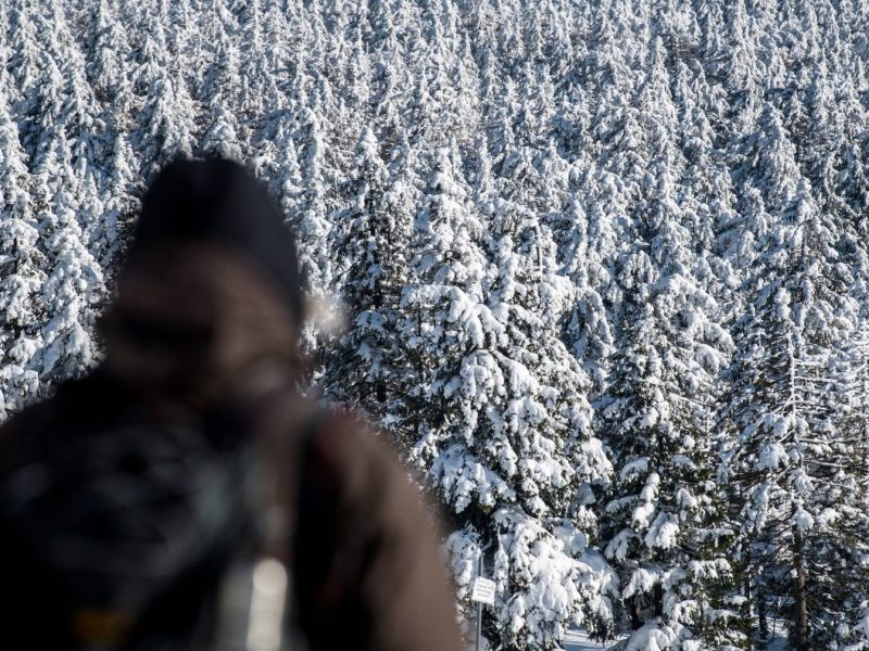Du willst Silvester noch spontan im Harz feiern? Dann musst du schnell sein. (Symbolbild)