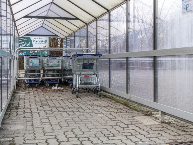 Dem Real-Markt in Salzgitter-Thiede sind rund 300 Einkaufswagen abhanden gekommen.