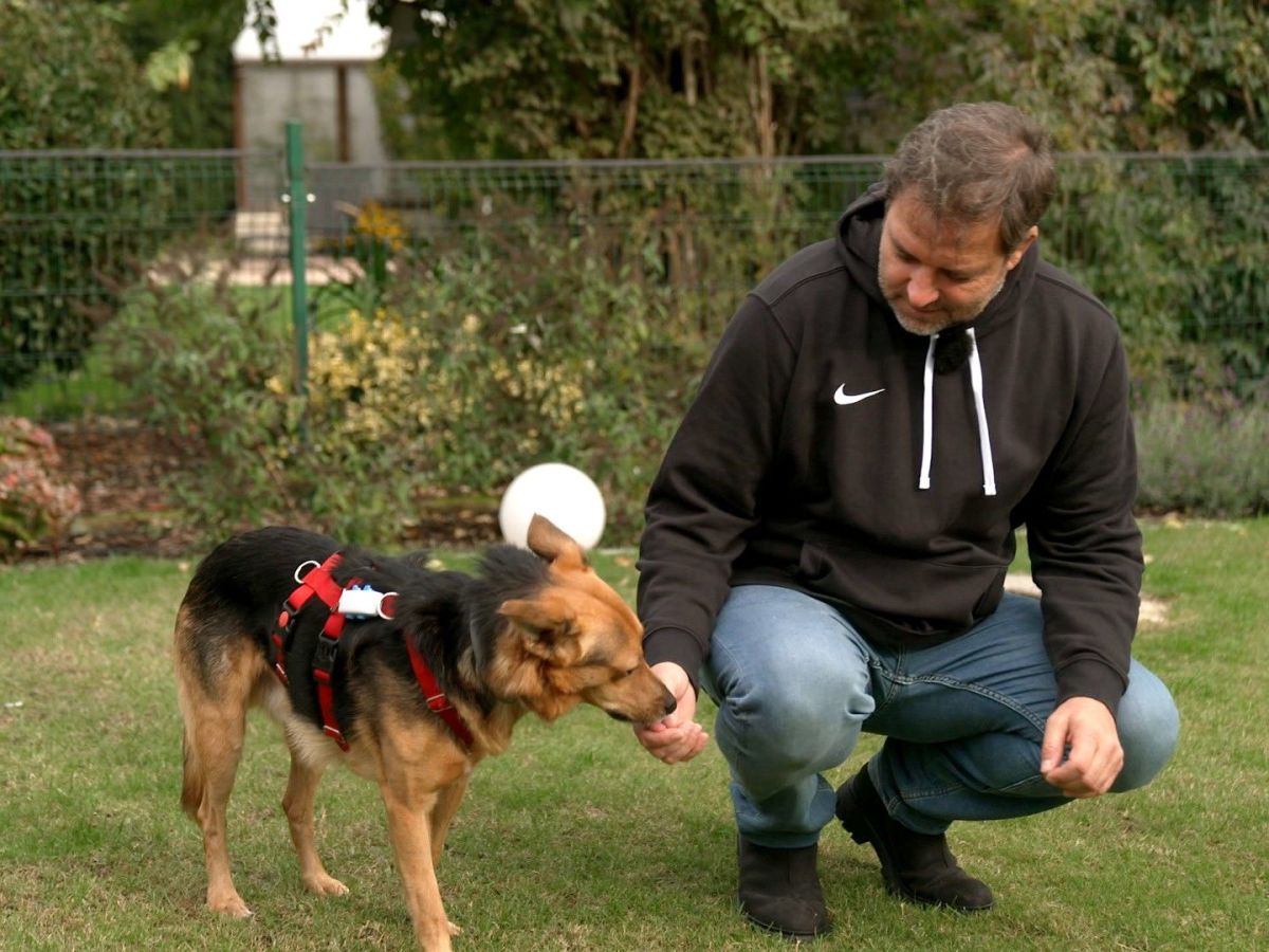 Martin Rütter mit Hund Snoopy aus Gifhorn!