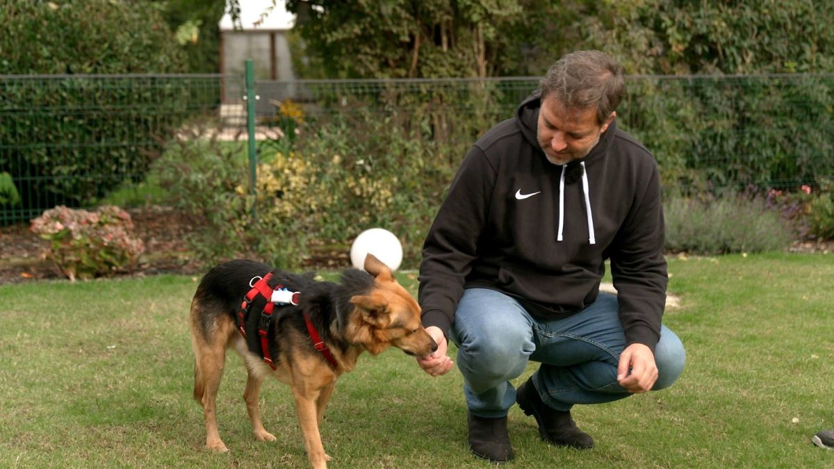 Martin Rütter mit Hund Snoopy aus Gifhorn!