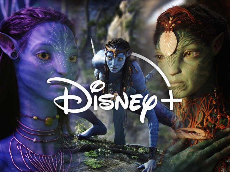 Disney+ Avatar