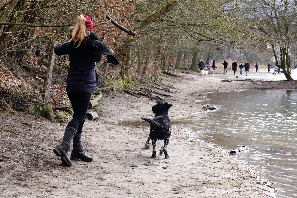 Eine Frau hat eine traurige Entdeckung am Altwarmbüchener See in Hannover gemacht! (Symbolbild)