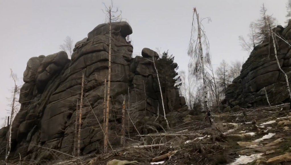 Dieser Anblick macht viele Harz-Fans traurig! 