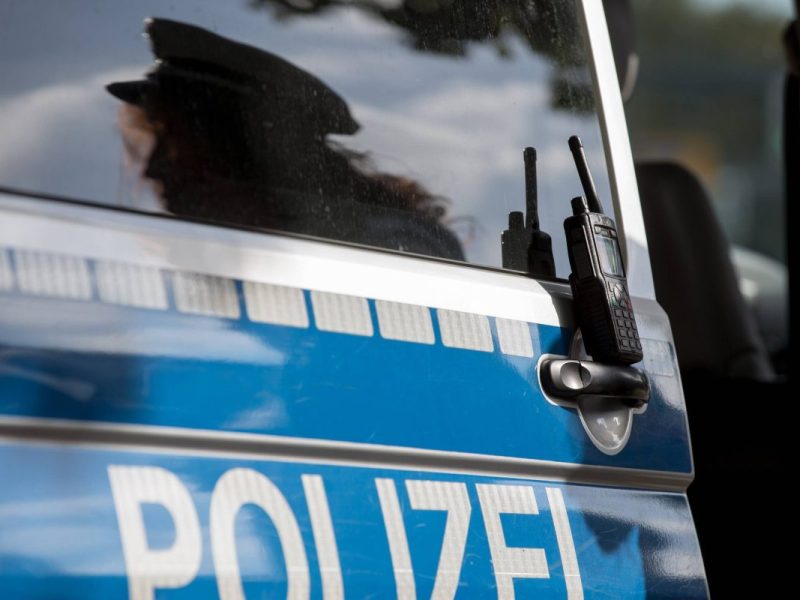 Ein Polizei-Transporter hat auf dem Weg in die JVA Hildesheim ein Pferd gerammt. Das Tier verendete kurz nach dem Unfall bei Uppen.