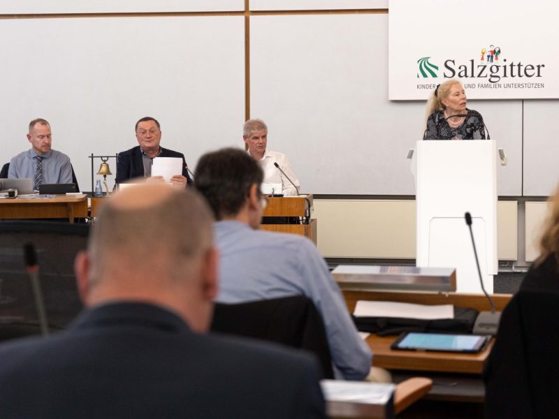 salzgitter