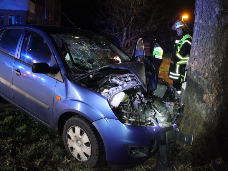 Der Ford landete zwischen Peine und Hildesheim an diesem Baum.