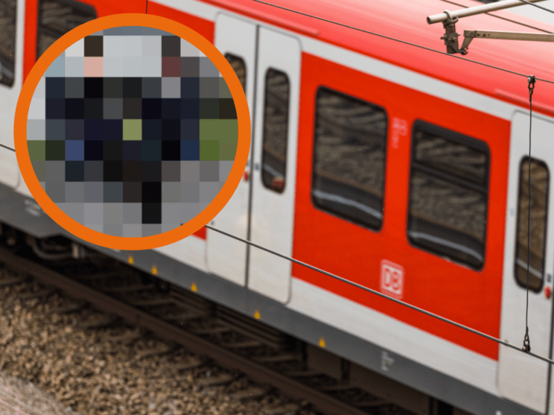 Blinder Passagier an Bord einer Regionalbahn zwischen Salzgitter und Braunschweig! (Symbolbild/Montage)