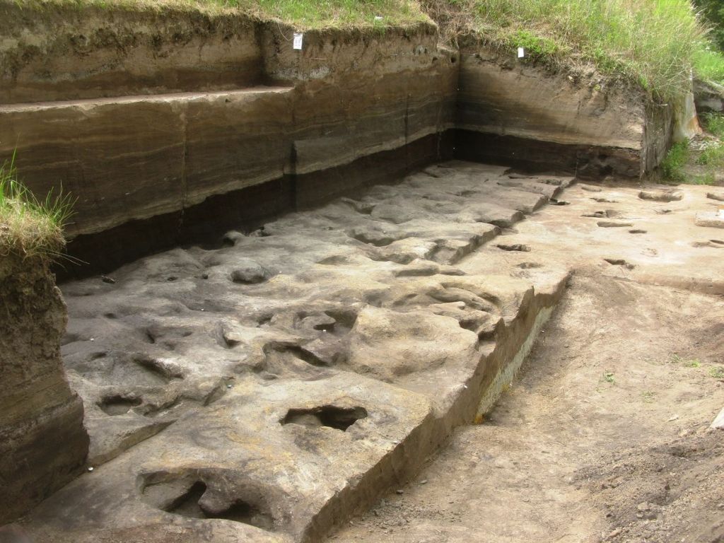Fossile Fußabdrücke aus der Fundstelle