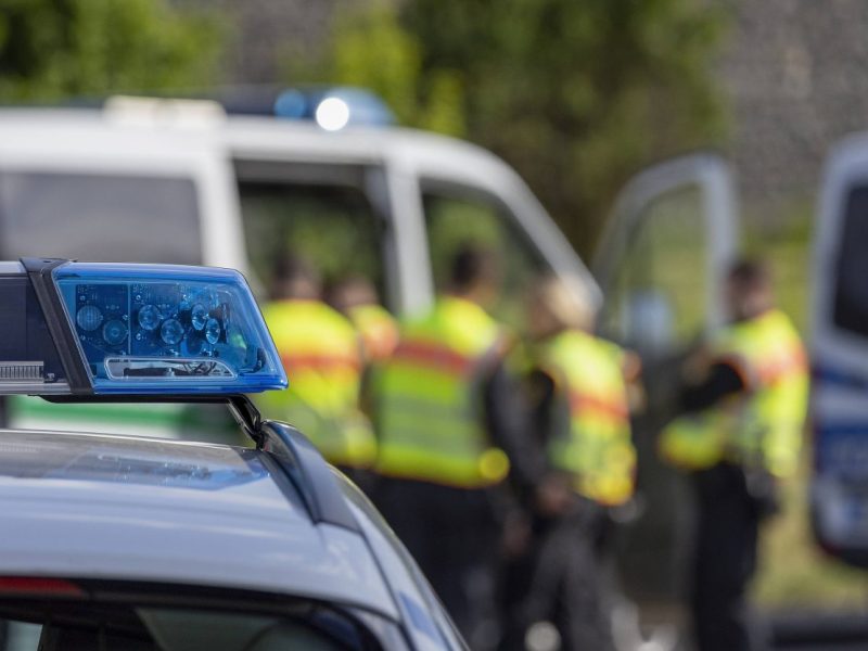 Einige Anwohner haben aus einem Waldstück in Goslar im Harz Knallgeräusche gehört. Die Polizei ist direkt ausgerückt. (symbolbild)