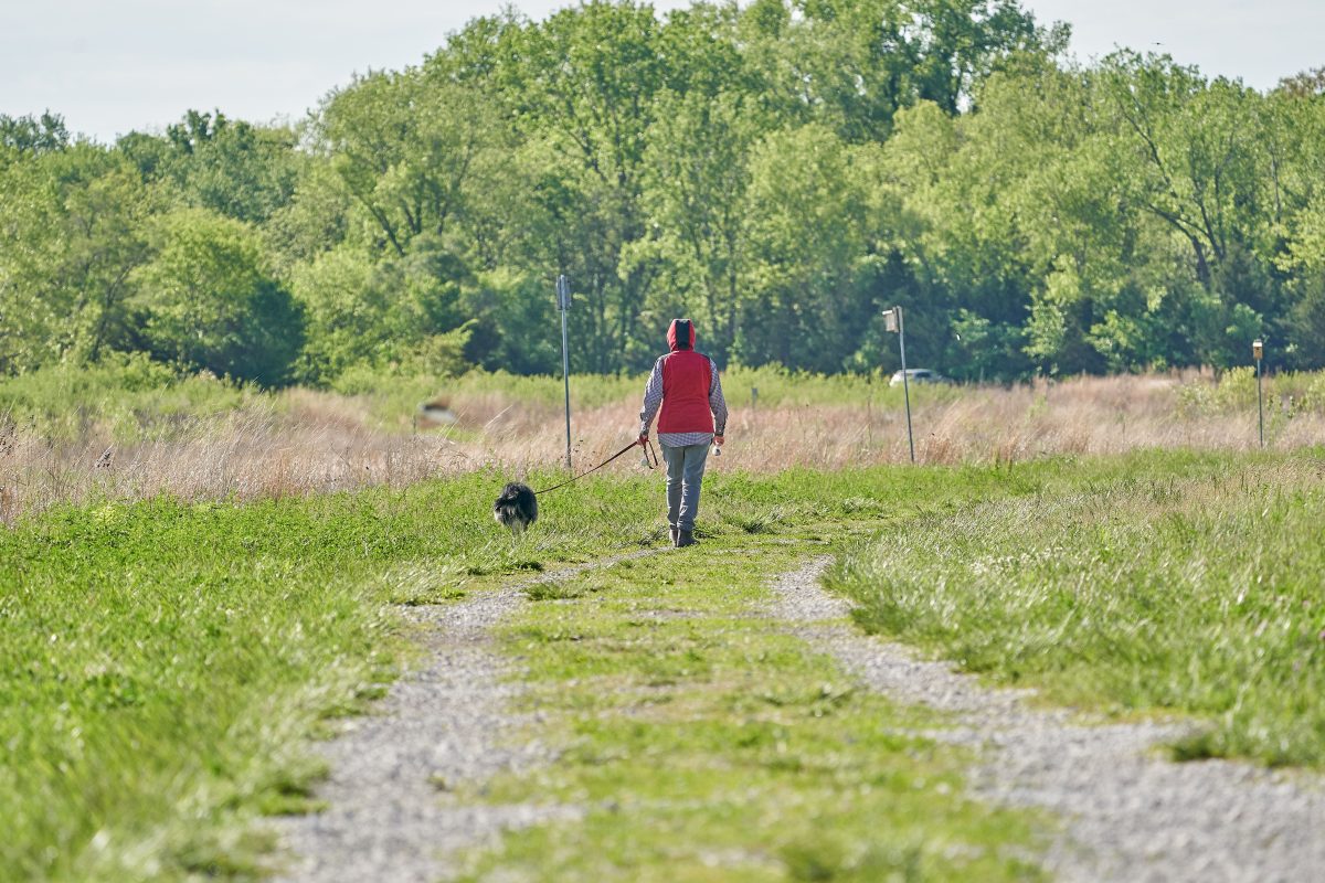 Ein Spaziergang mit ihrem Hund nahm für eine Wolfsburgerin im Kreis Helmstedt eine dramatische Wendung! (Symbolbild)