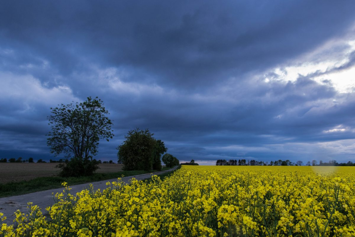 Dicke Wolken über Niedersachsen